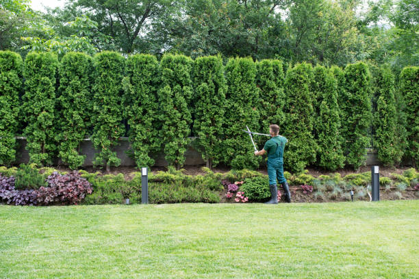 Best Lawn Watering Services  in Carnot Moon, PA